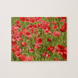 Puzzle Poppy field