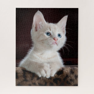 Puzzle Portrait Cute Kitten