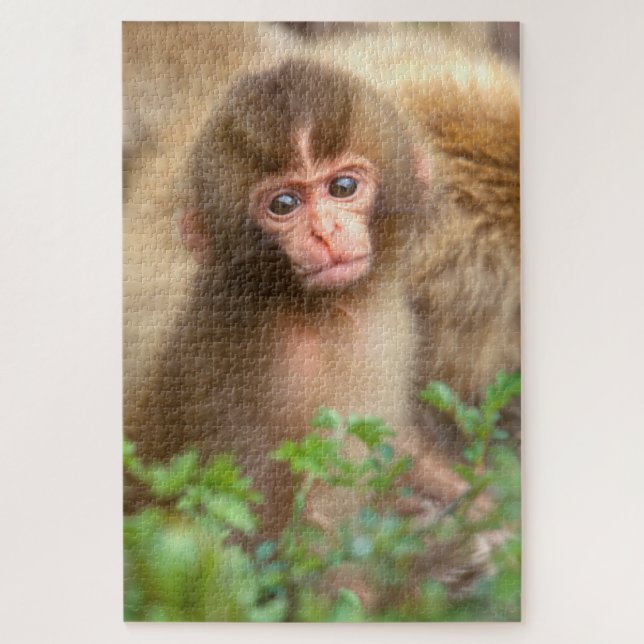 Puzzle Portrait de bébé du singe des neiges (Vertical)
