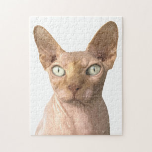 Puzzle Portrait de Cat Sphynx