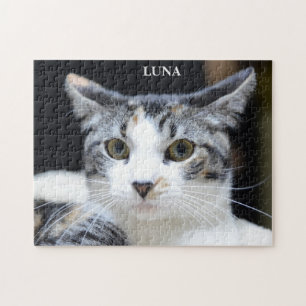 Puzzle Portrait de chat Calico vert mignon