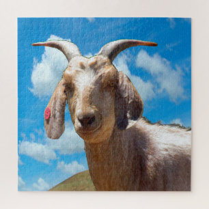 Puzzle - Portrait de chèvre