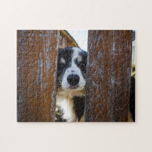 Puzzle Portrait de chien Border Collie mignon