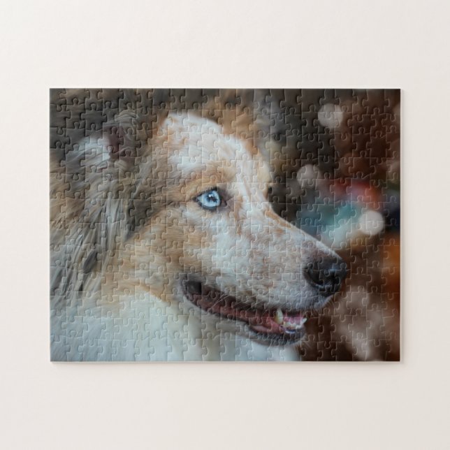 Puzzle Portrait de chien de berger australien (Horizontal)