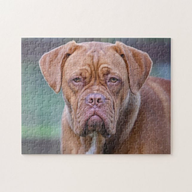 Puzzle Portrait de chien du Dogue de Bordeaux (Horizontal)