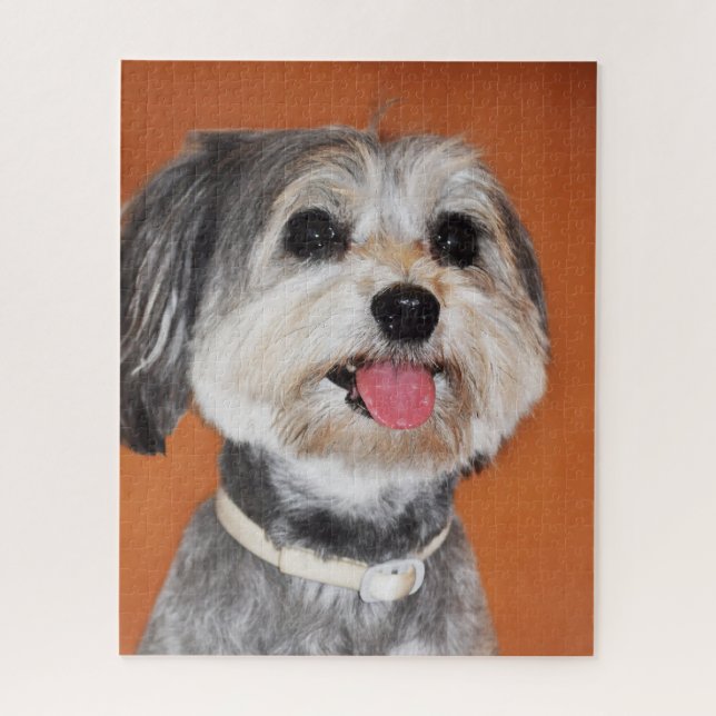Puzzle Portrait de chien Havanais (Vertical)