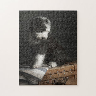 Puzzle Portrait de chiot de queue écourtée dans le studio