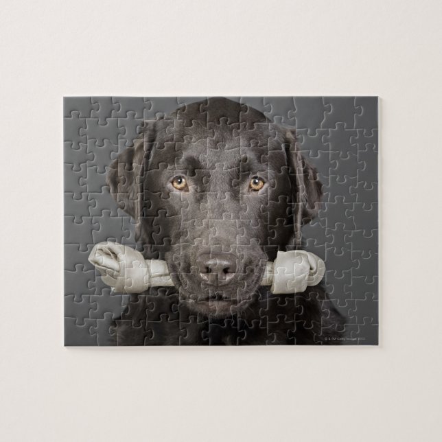Puzzle Portrait de chocolat labrador (Horizontal)