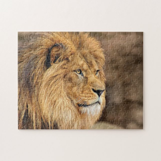 Puzzle Portrait de la photo Lion (Horizontal)