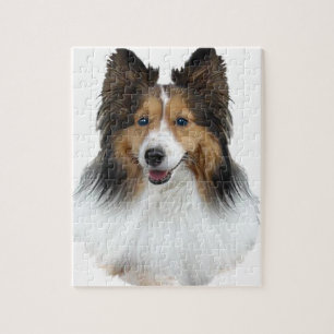 Puzzle Portrait de Sheltie
