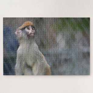 Puzzle Portrait de singe