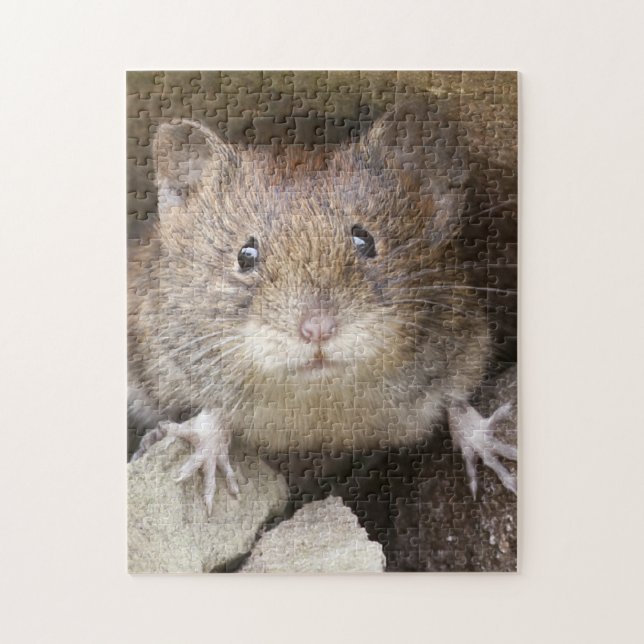 Puzzle Portrait de souris (Vertical)