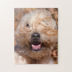 Puzzle Portrait de Terrier Wheaten à poil doux