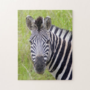 Puzzle Portrait de zèbre des plaines, Hluhluwe-Umfolozi G