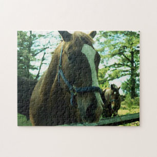 Puzzle Portrait du cheval