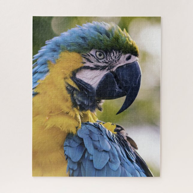 Puzzle Portrait du profil de la perroquet macaw (Vertical)