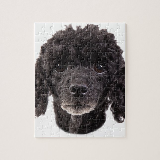 Puzzle Portrait d'un caniche noir (Vertical)