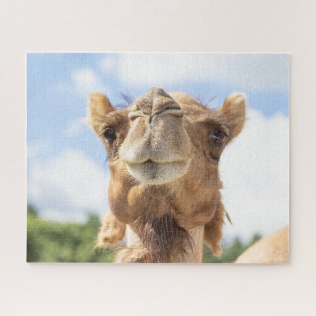 Puzzle Portrait d'un chameau (Horizontal)