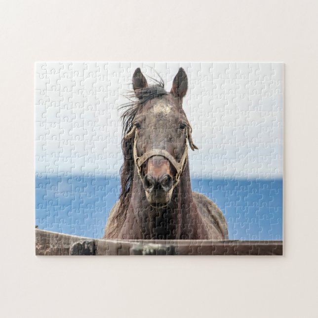 Puzzle Portrait d'un cheval (Horizontal)
