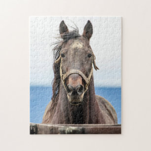 Puzzle Portrait d'un cheval