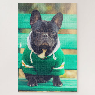 Puzzle Portrait d'un chien de taureau français