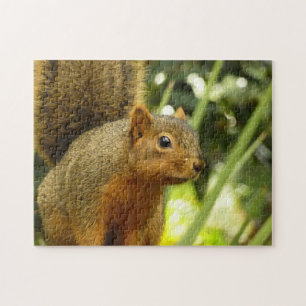 Puzzle Portrait d'un écureuil Nature Animal Photographie