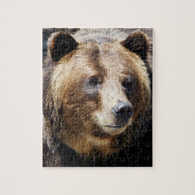Puzzle Portrait grizzli (Vertical)