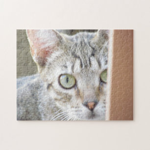 Puzzle - Portrait Kitten
