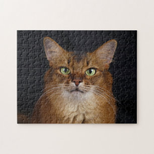 Puzzle Portrait photo de chat somalien