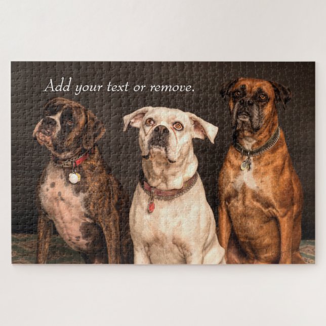 Puzzle Portrait photographique de 3 mignons chiens boxeur (Horizontal)