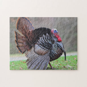 Puzzle Portrait sauvage de dinde