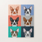 Portraits de Boston Terrier