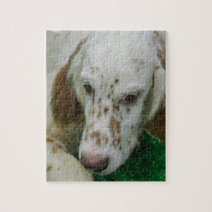 Puzzle Poseur anglais adorable