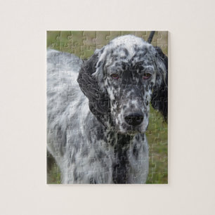 Puzzle Poseur anglais noir et blanc adorable