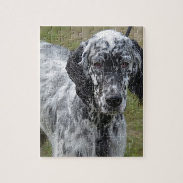 Puzzle Poseur anglais noir et blanc adorable (Vertical)