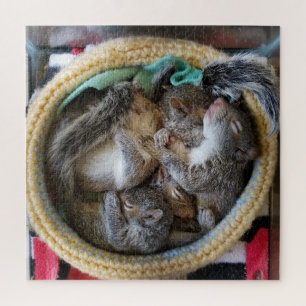Puzzle Pouddle