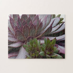 Puzzle Poules et pousses