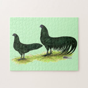 Puzzle Poules Sumatra noires