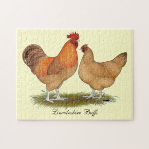 Puzzle Poulet à billes Lincolnshire