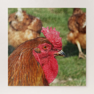 Puzzle poulet, animal, poussin, oiseau, ferme, mignon, pu