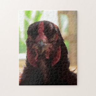 Puzzle - poulet fâché