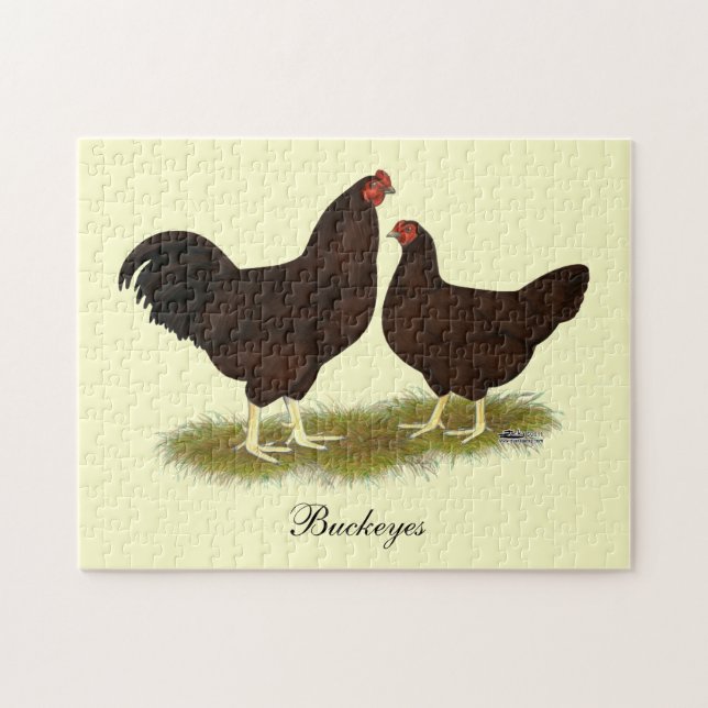 Puzzle Poulets de Buckeye (Horizontal)