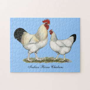 Puzzle Poulets de la rivière Indian