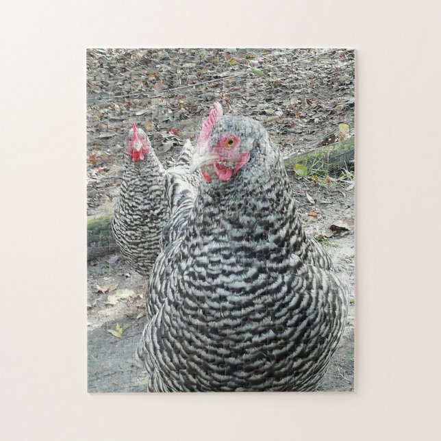 Puzzle Poulets de Plymouth Rock dans la basse cour (Vertical)