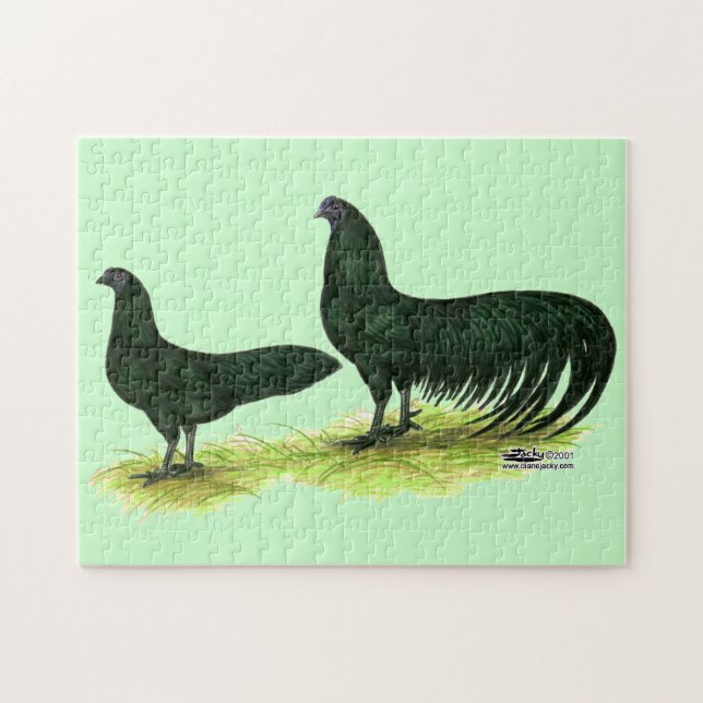 Puzzle Poulets noirs de Sumatra (Horizontal)