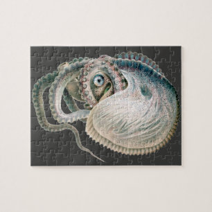 Puzzle Poulpe Argonaute Vintage, Animaux de la Vie Marine
