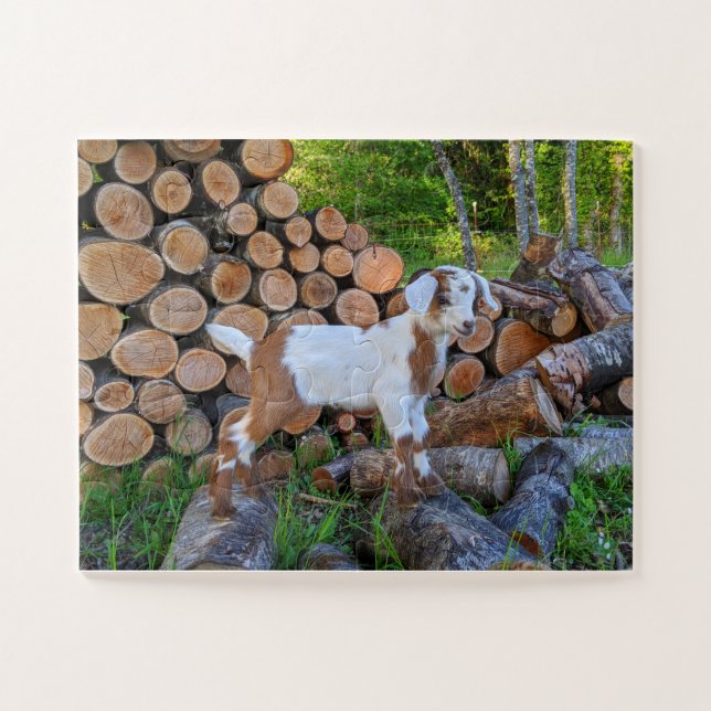 Puzzle pour bébé chèvre facile (Horizontal)