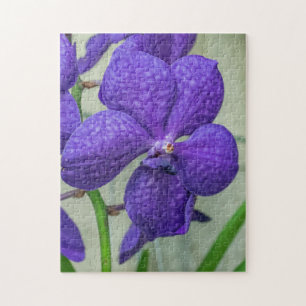 Puzzle pourpre d'orchidées de Vanda