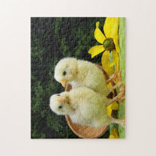 Puzzle poussins de poulet