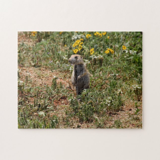 Puzzle Prairie Dog (Horizontal)
